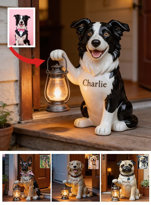 Personalized Black and White Border Collie Solar Acrylic Light Garden Decor