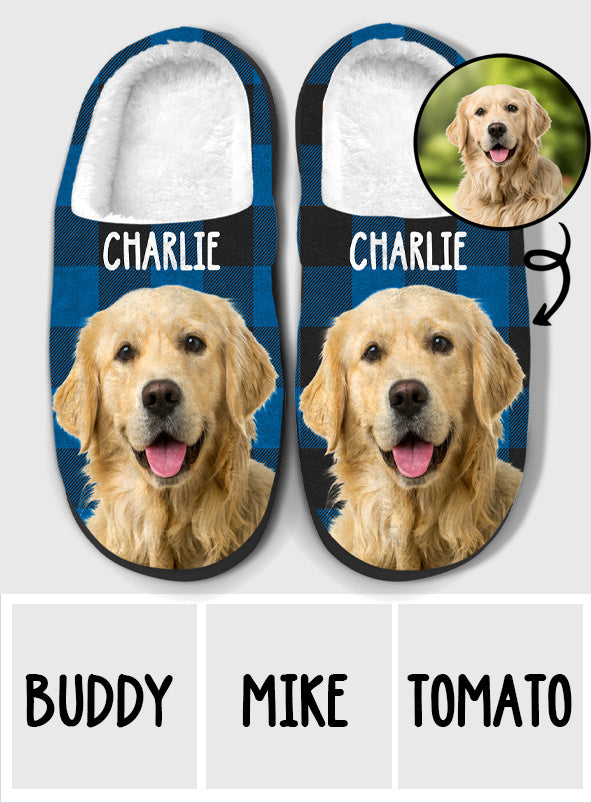Fur Baby - Personalized Dog Slippers