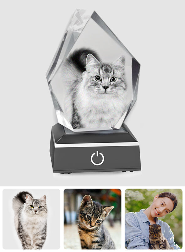 Custom Photo - Personalized Cat Laser Engraving 3D Iceberg Shaped Crystal Lamp