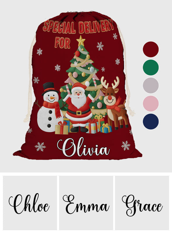 Special Delivery Christmas Eve Sack - Personalized Family Drawstring Tote Bag