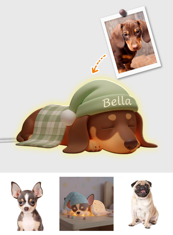 Custom From Any Photos - Personalized Dog Acrylic LED Night Light