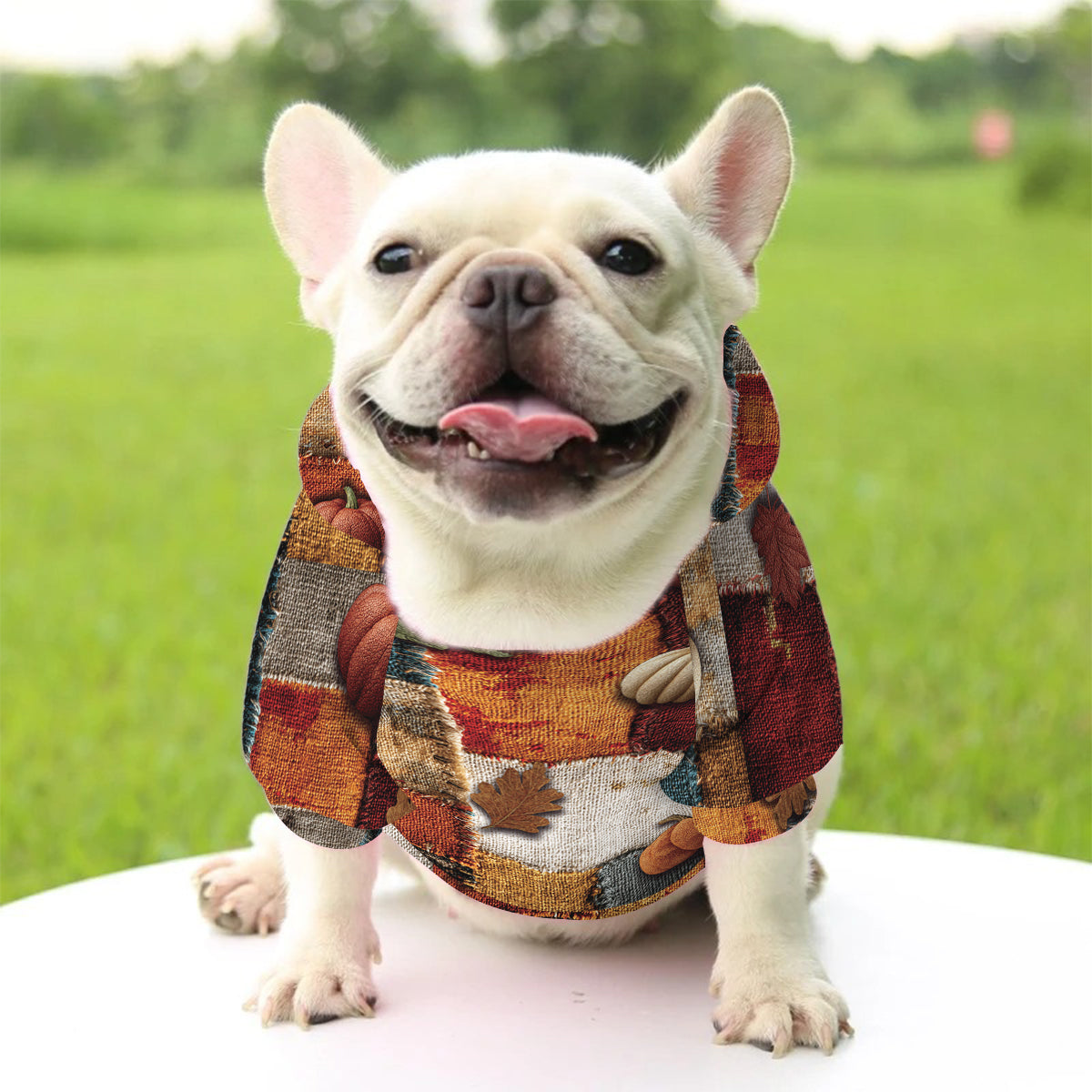 Tis The Season - Personalized Dog Pet Hoodie