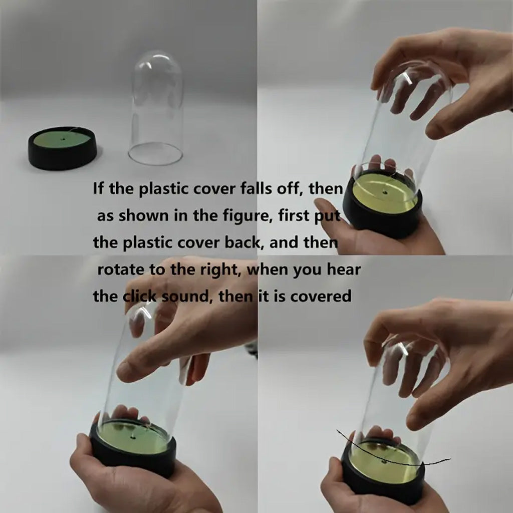 Sunflowers LED Light in Dome