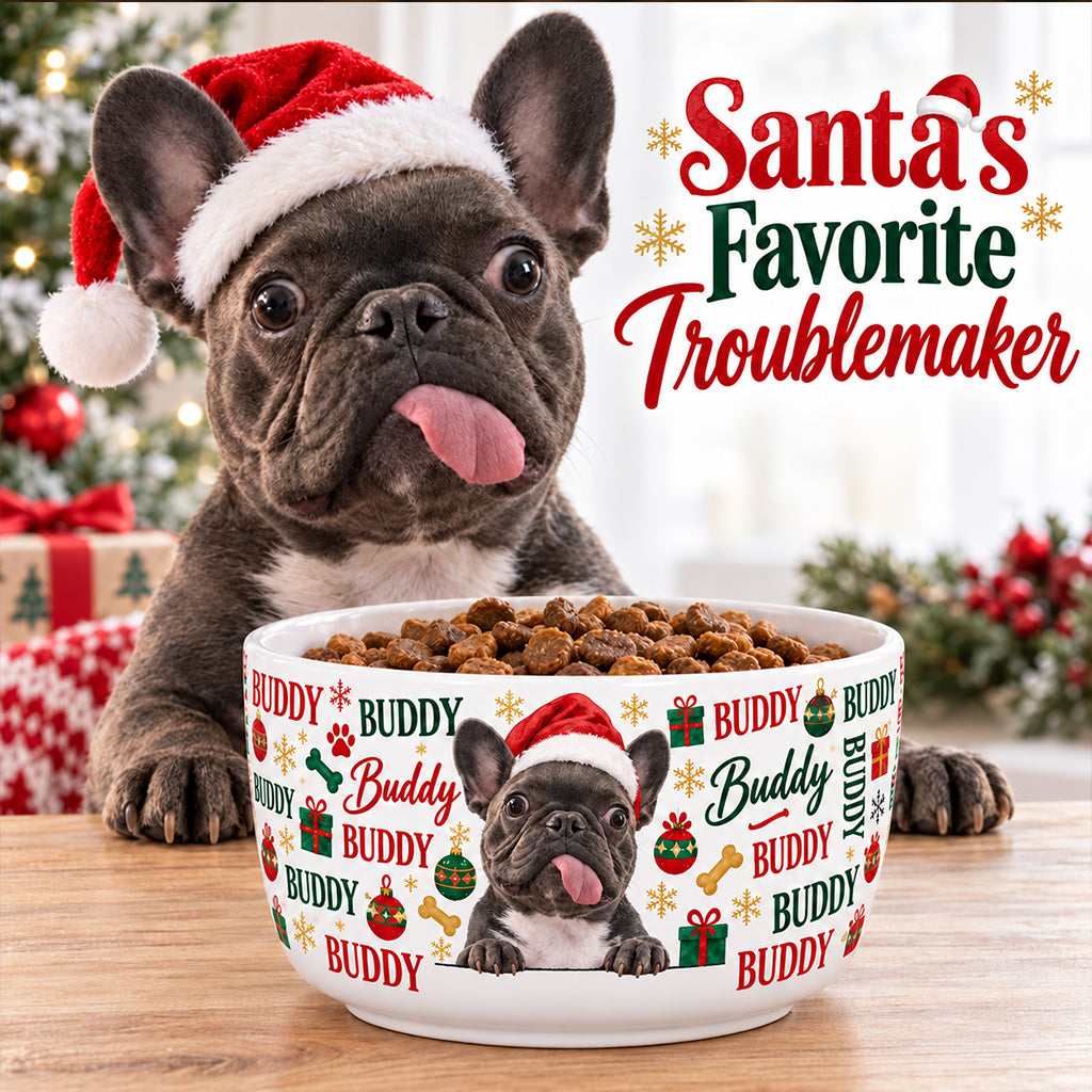 Santa’s Favorite Troublemaker - Personalized Dog Ceramic Bowl