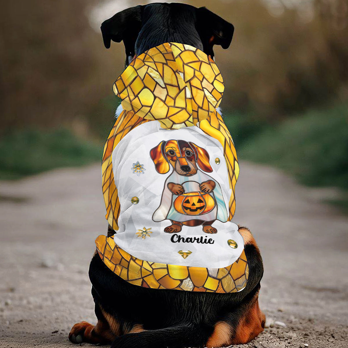 Hello Fall - Personalized Dog Pet Hoodie