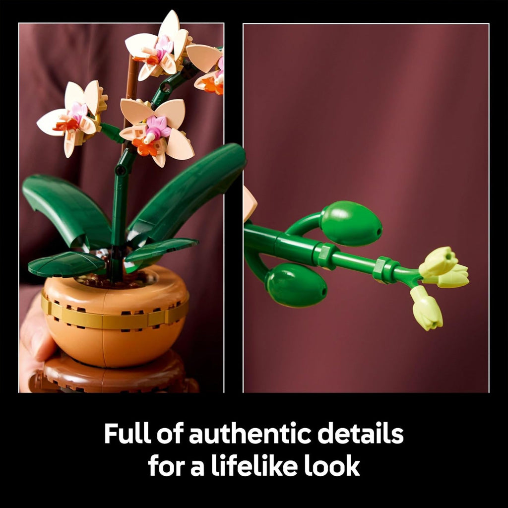 Botanicals Mini Orchid Building Set