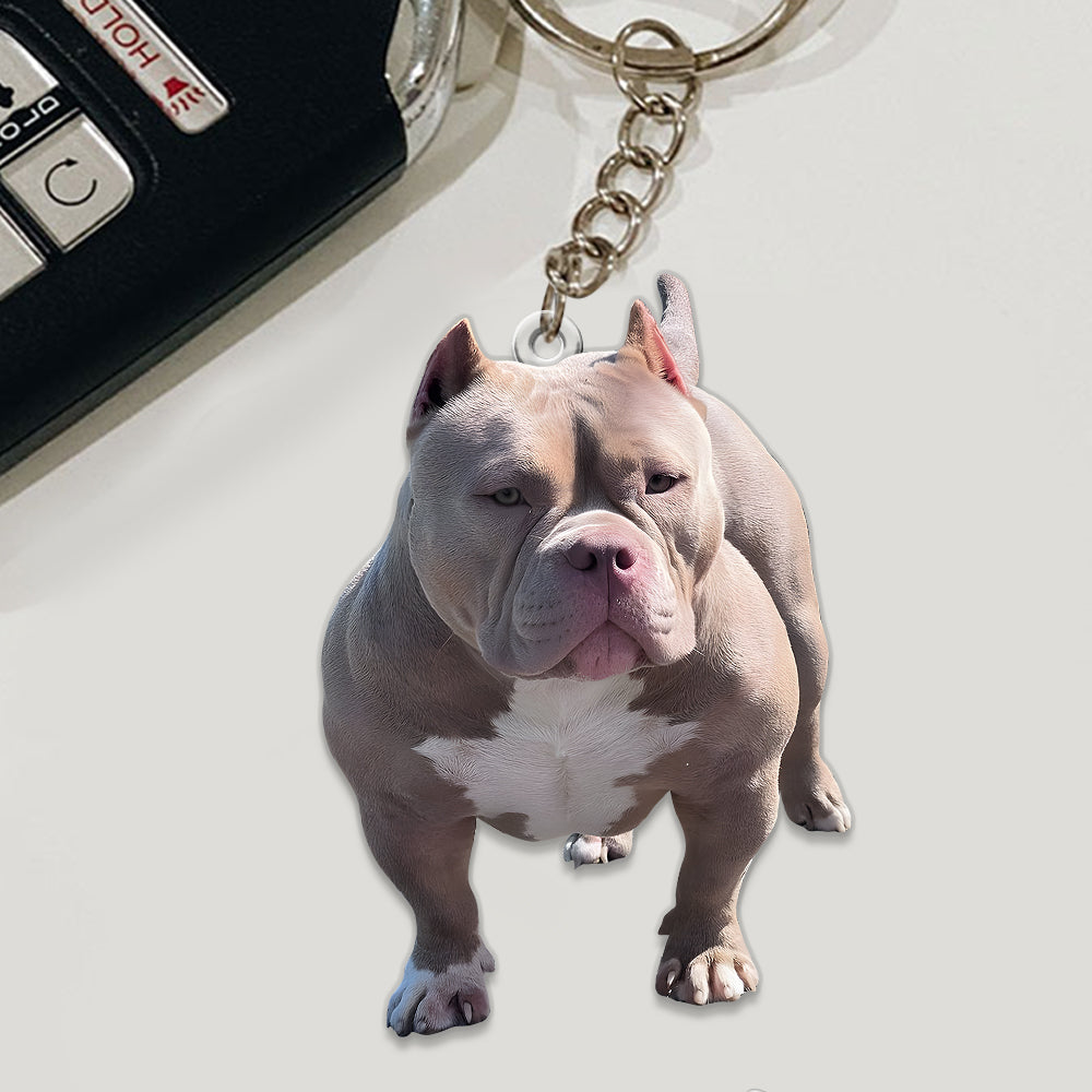 Any Photo Ornament - Personalized Dog Custom Shaped Ornament