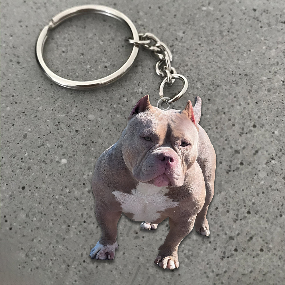 Any Photo Ornament - Personalized Dog Custom Shaped Ornament