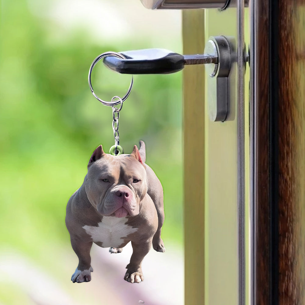 Any Photo Ornament - Personalized Dog Custom Shaped Ornament