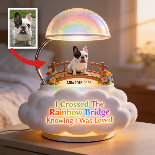 I Crossed The Rainbow Bridge - Personalized French Bulldog Acrylic LED Night Light