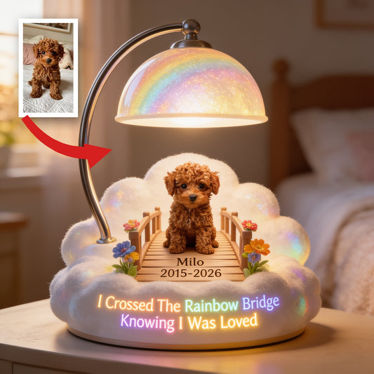I Crossed The Rainbow Bridge - Personalized Brown Toy Poodle Acrylic LED Night Light