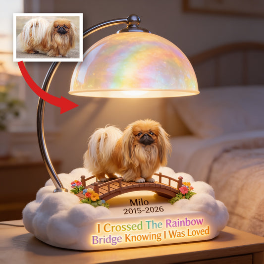Personalized Long Haired Shih Tzu Rainbow Bridge Memorial Acrylic LED Night Light, Pet Loss Sympathy Gift