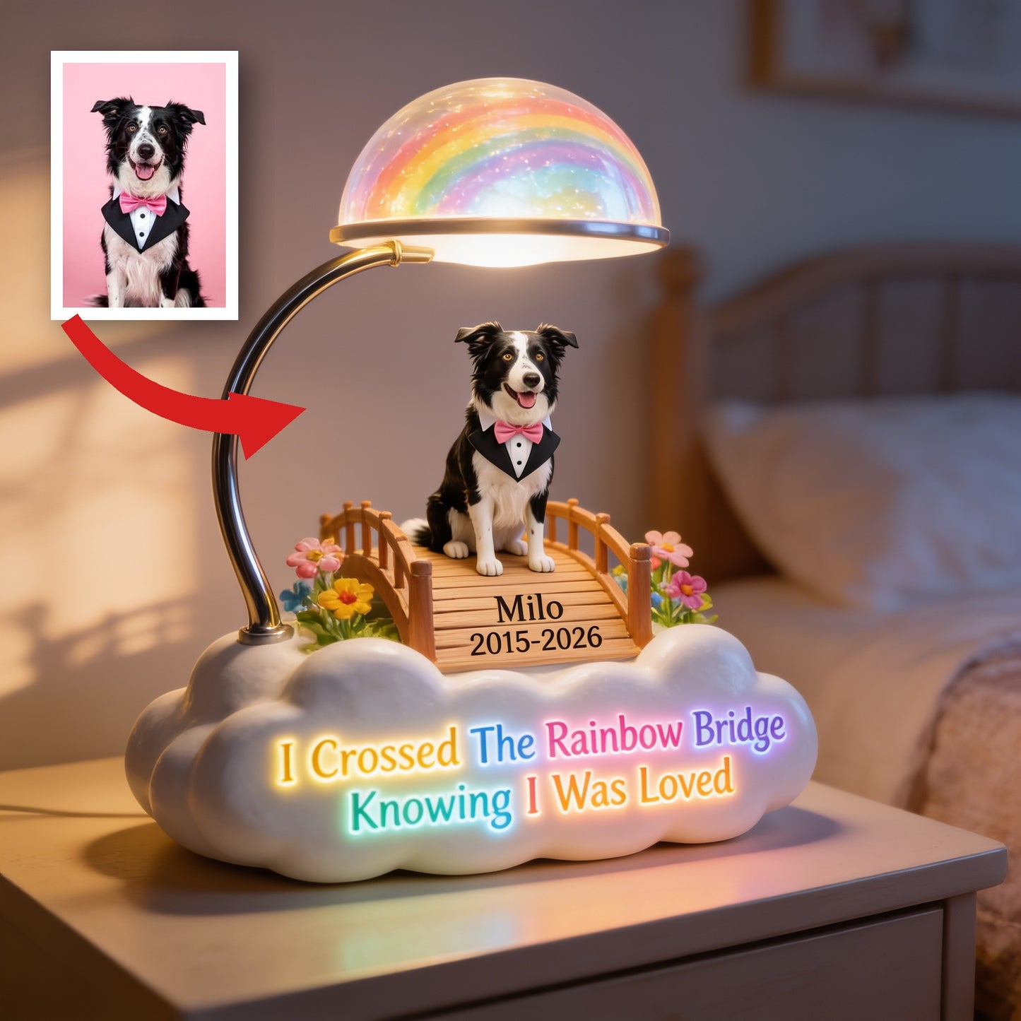 Personalized Rainbow Bridge Border Collie Memorial Acrylic LED Night Light, Custom Dog Loss Keepsake Gift