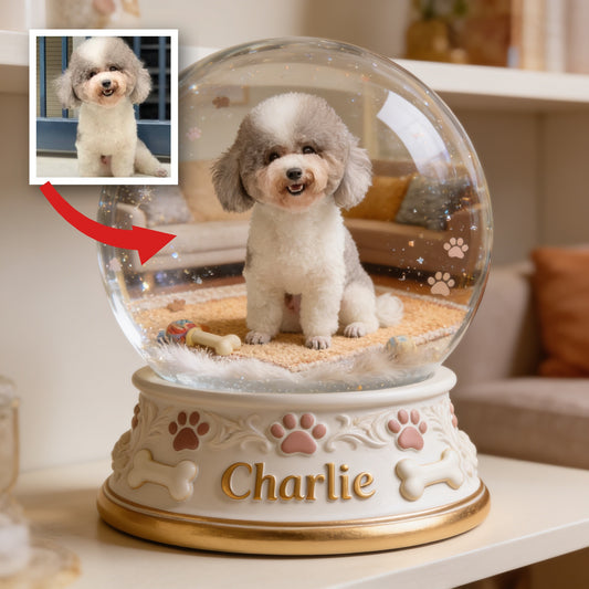 Personalized Curly Fur Poodle Snow Globe Acrylic Plaque Table Decor Dog Lover Gift