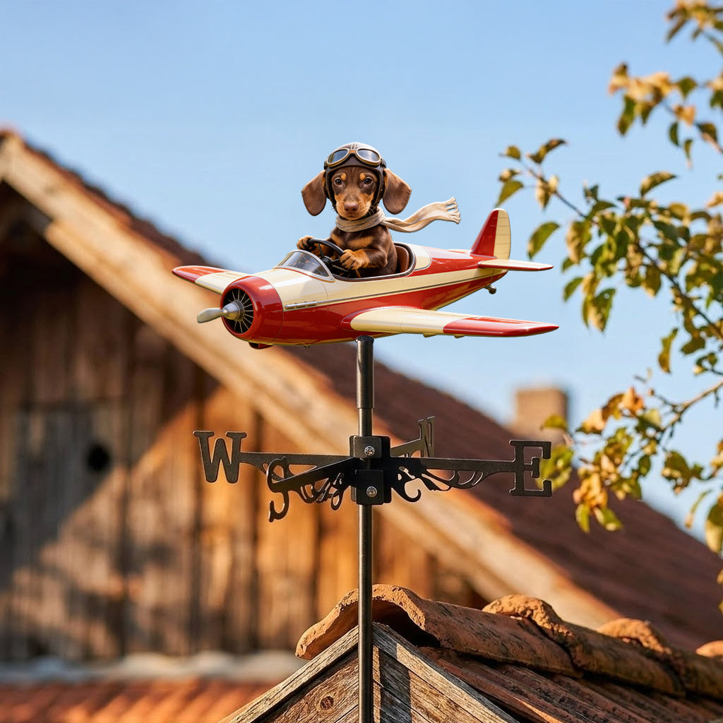 Custom Photo Fluffy Pomeranian Pilot Weather Vane Pet Lover Garden Decor