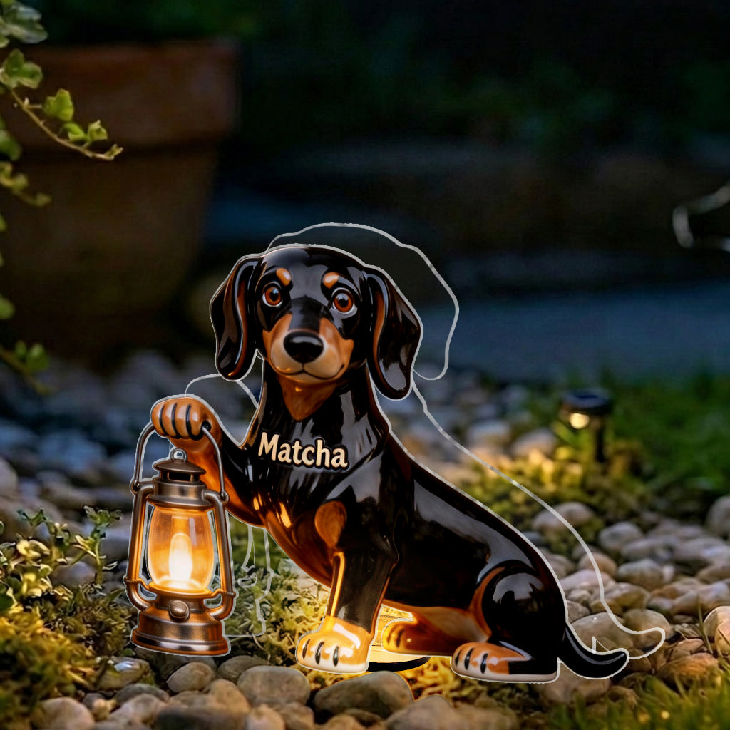 Personalized Black and White Border Collie Solar Acrylic Light Garden Decor