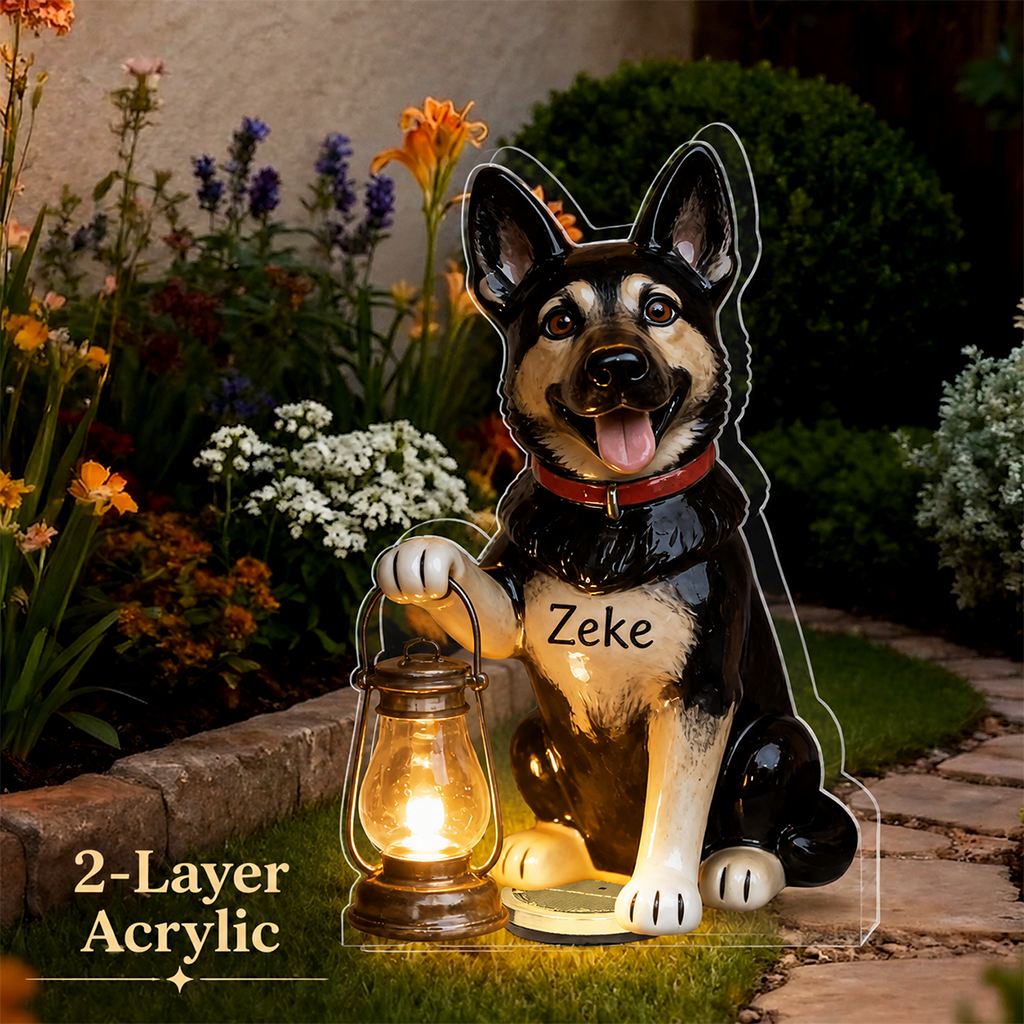 Personalized Black and White Border Collie Solar Acrylic Light Garden Decor