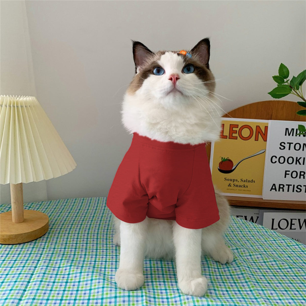 Sassy Ketchup Spicy Mustard Condiment Costume - Personalized Dog Pet Shirt