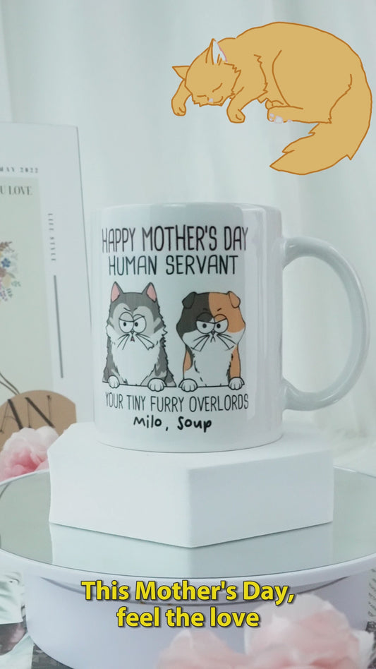 Human Servant Cute Cat Tiny Furry Overlord - Personalized Cat Mug