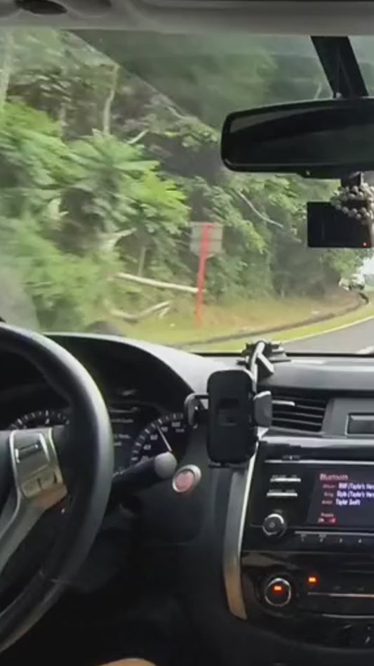 Salty Lil' Beach - Personalized Turtle Seat Covers