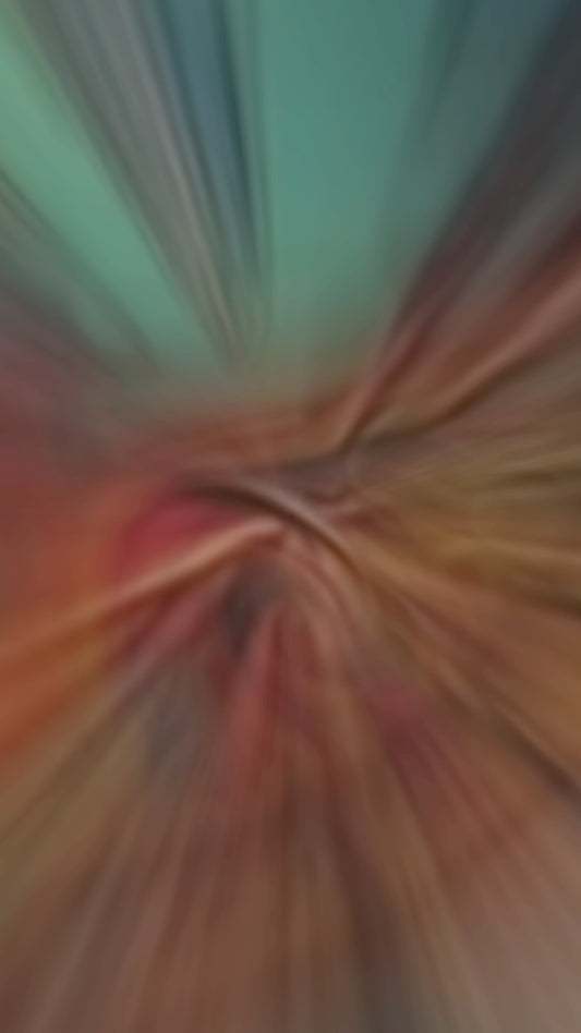 Stained Glass Turtle - Personalized Turtle Car Ornament