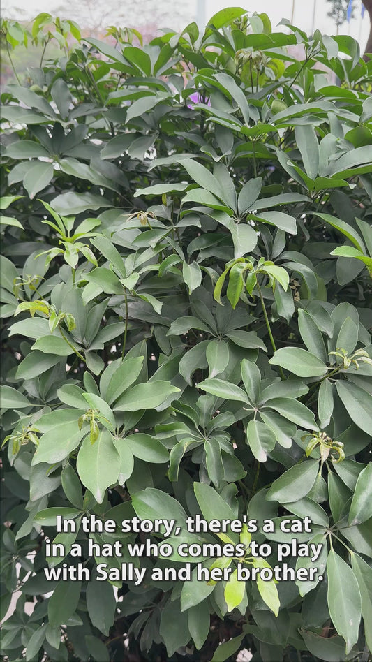 Father Mother Of All Things - Personalized Father Tumbler