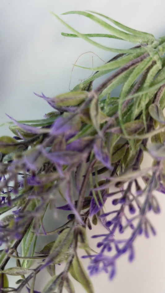 Cute Sea Turtle Galaxy - Personalized Turtle Flip Flops