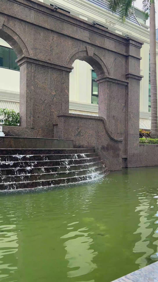 Beautiful Butterflies - Butterfly Phone Case