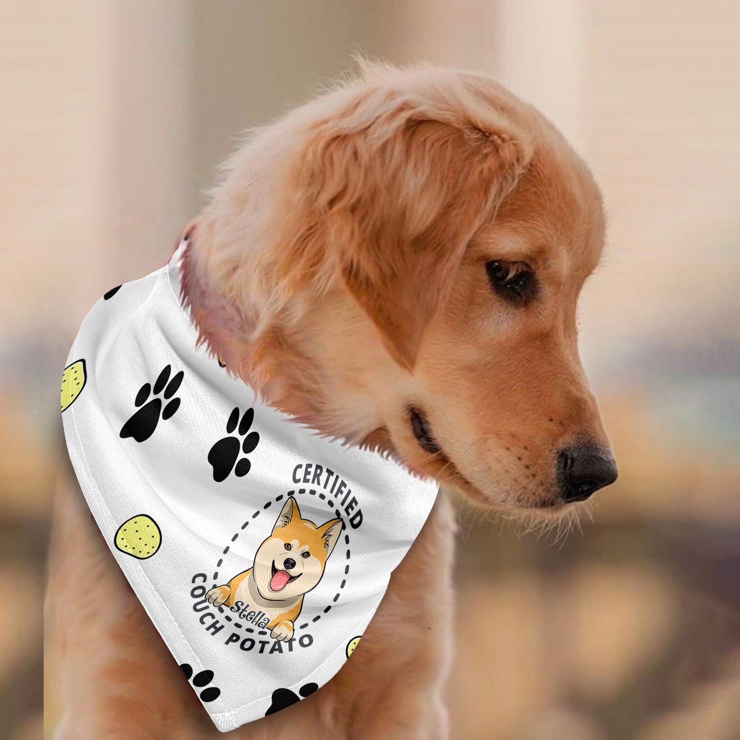 Certified Couch Potato - Personalized Dog Pet Bandana