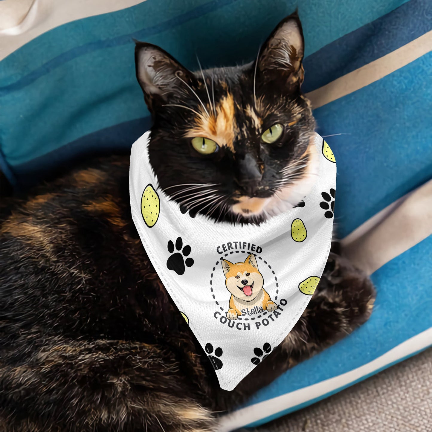 Certified Couch Potato - Personalized Dog Pet Bandana
