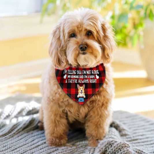 I'm Telling You I'm Not A Dog - Personalized Couple Dog Pet Bandana