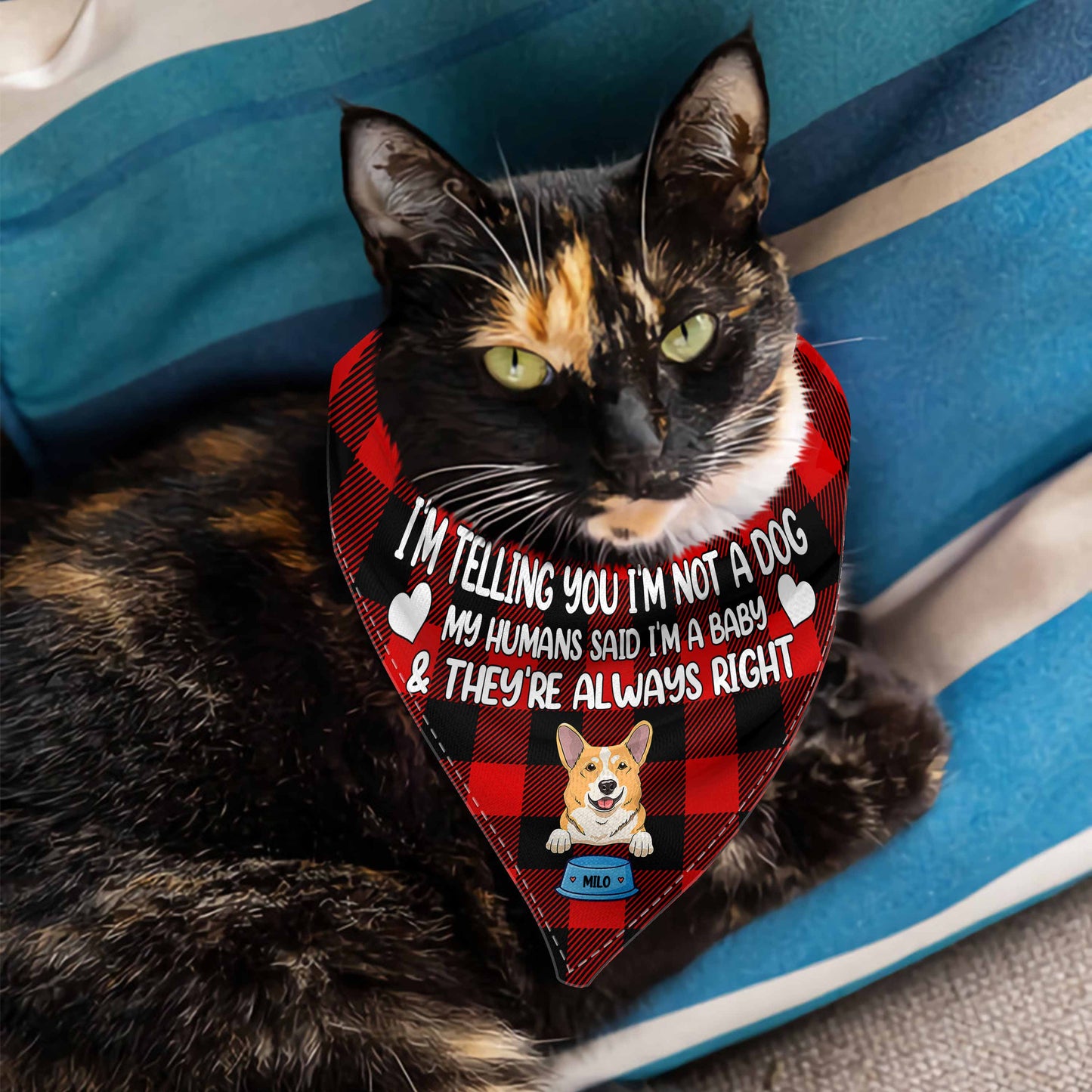 I'm Telling You I'm Not A Dog - Personalized Couple Dog Pet Bandana