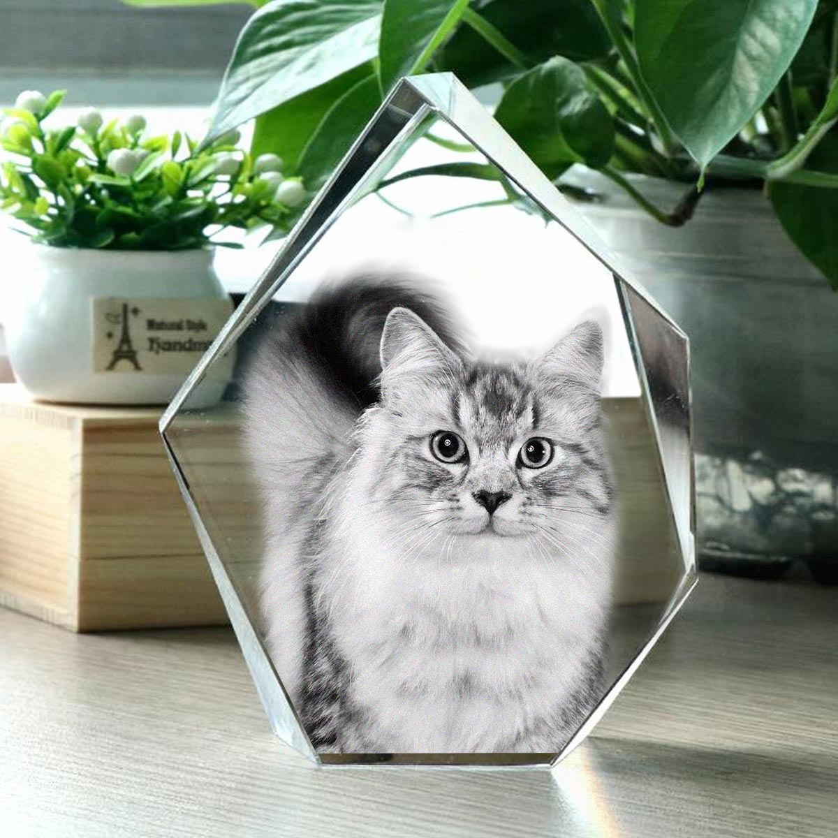 Custom Photo - Personalized Cat Laser Engraving 3D Iceberg Shaped Crystal Lamp