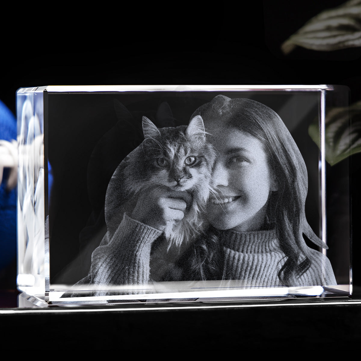 Custom Photo - Personalized Cat Laser Engraving 3D Cuboid Shaped Crystal Lamp