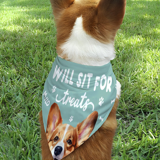 Will Sit For Treats - Personalized Dog Pet Bandana