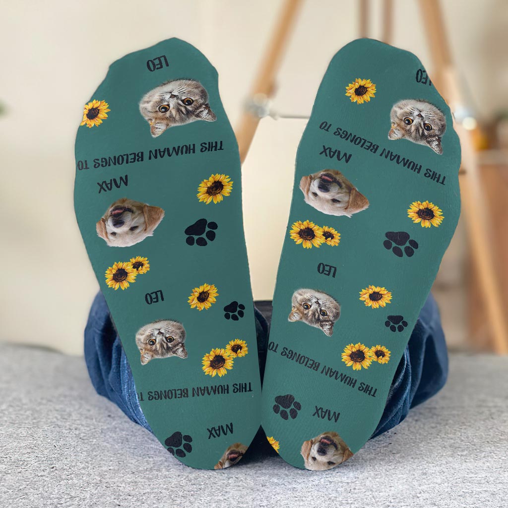 This Human Belongs To - Dog gift for cat lover - Personalized Socks