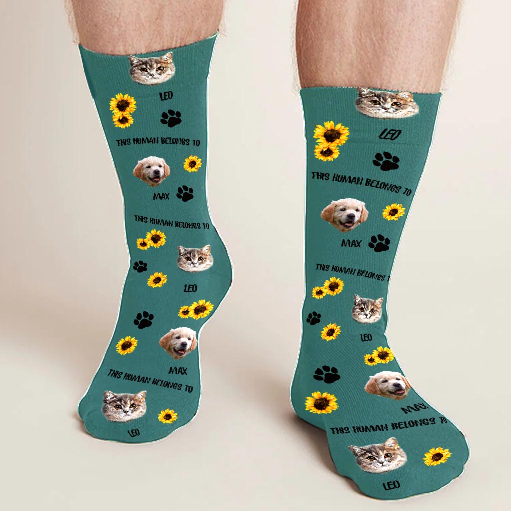 This Human Belongs To - Dog gift for cat lover - Personalized Socks