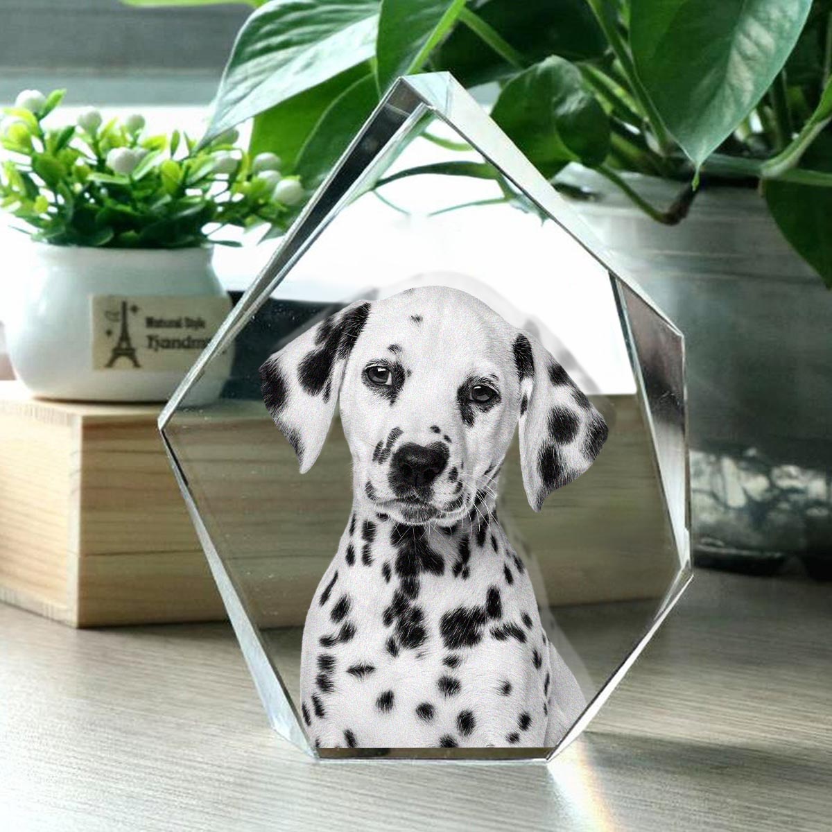 Custom Photo - Personalized Dog Laser Engraving 3D Iceberg Shaped Crystal Lamp